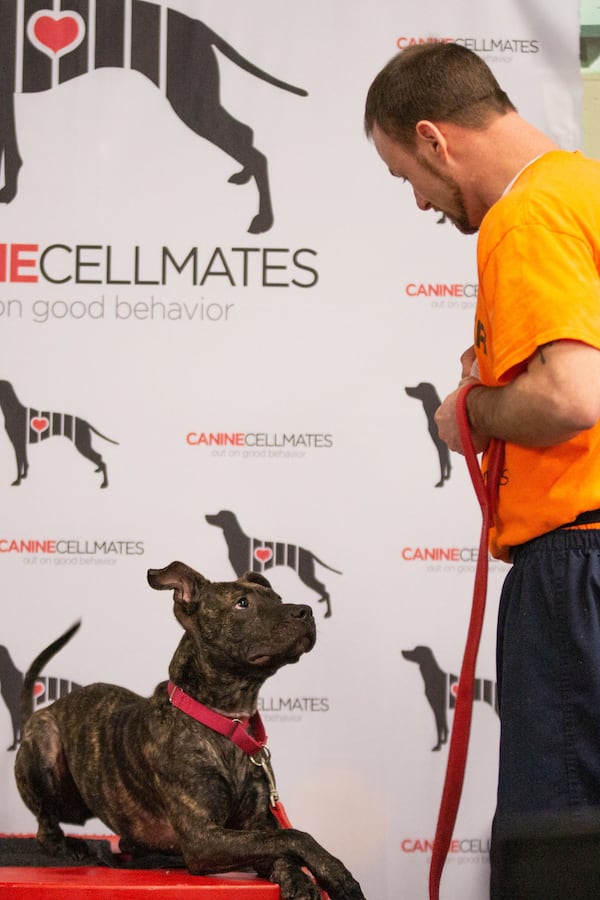 Each dog chosen for the Canine CellMates program undergoes extensive temperament testing to determine their suitability for the program.