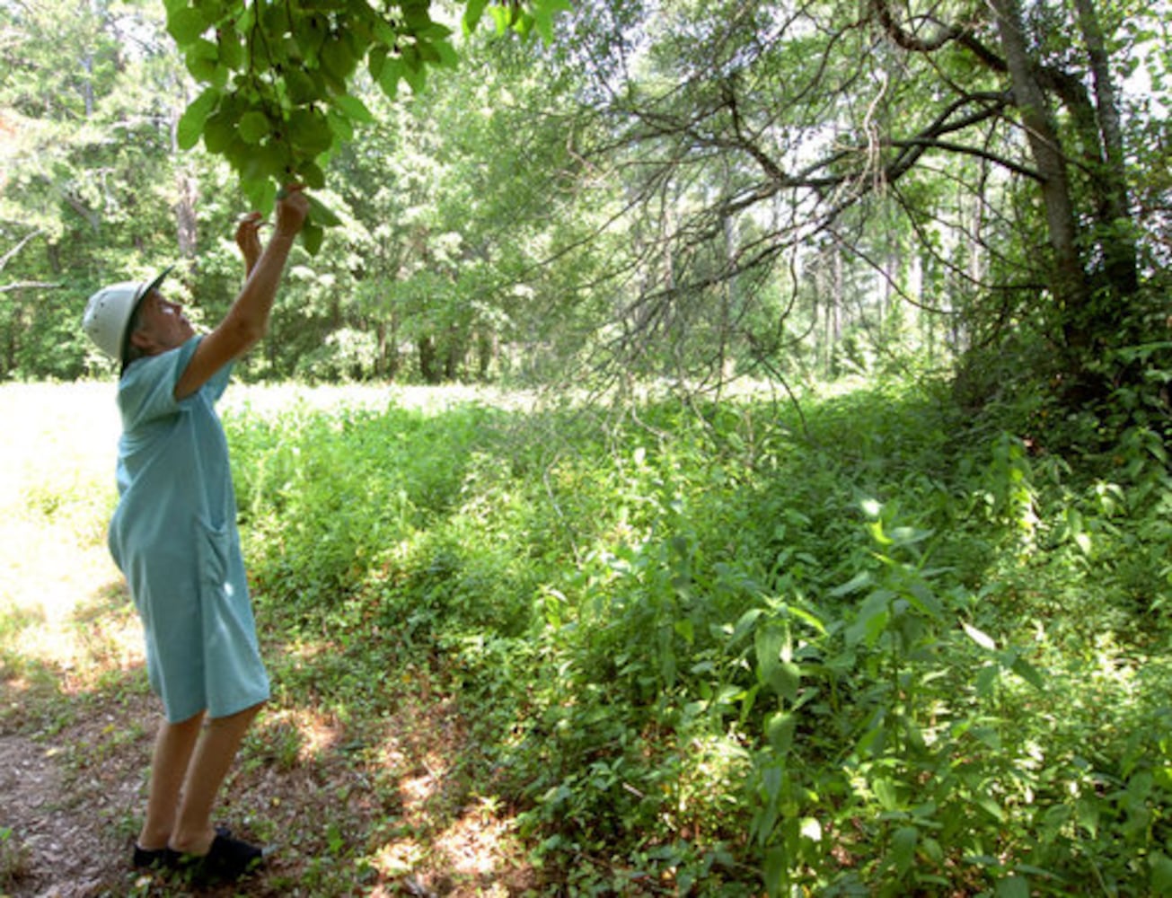 Protecting Cobb County's Hyde Farm