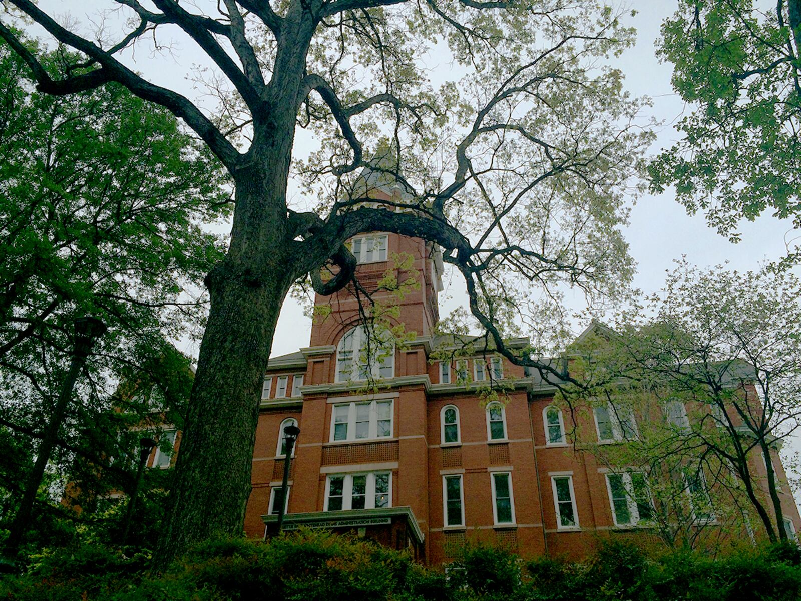 The Georgia Tech Tower White Oak