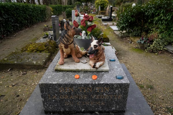 A grave for a dog named "Rintintin" is seen at the pet cemetery of Asnieres-sur-Seine, west of Paris, Friday, Feb. 21, 2025. (AP Photo/Michel Euler)