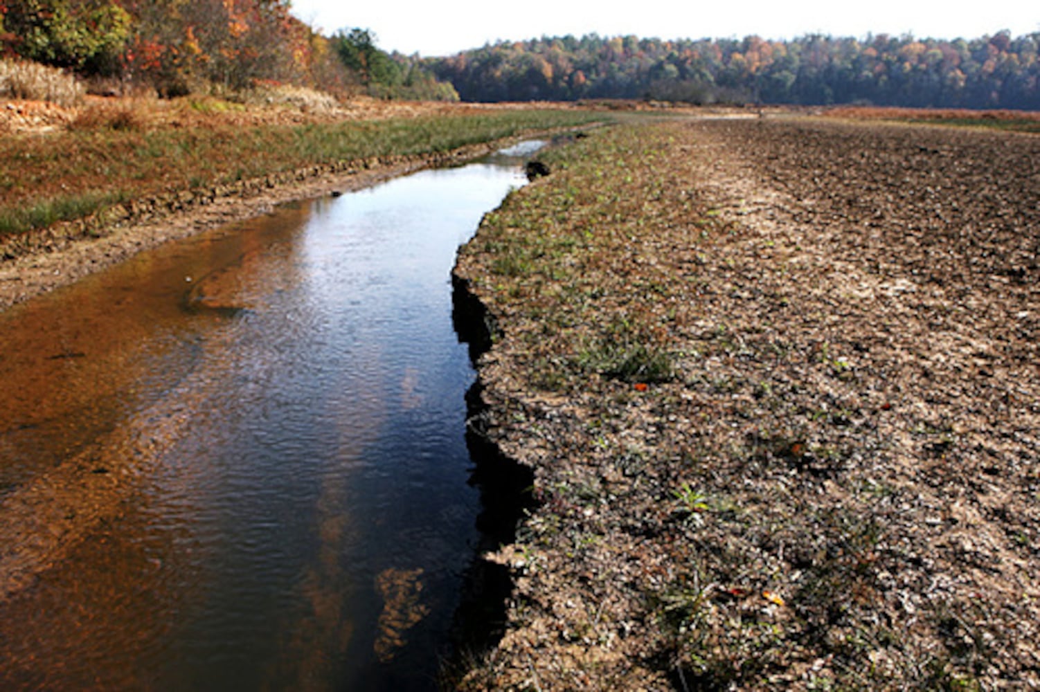 The Dog River Reservoir goes dry