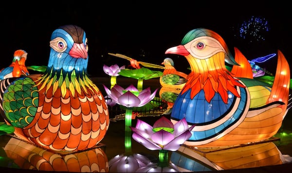 Visit Zoo Atlanta at night to see over 80 spectacular illuminated animal lanterns.