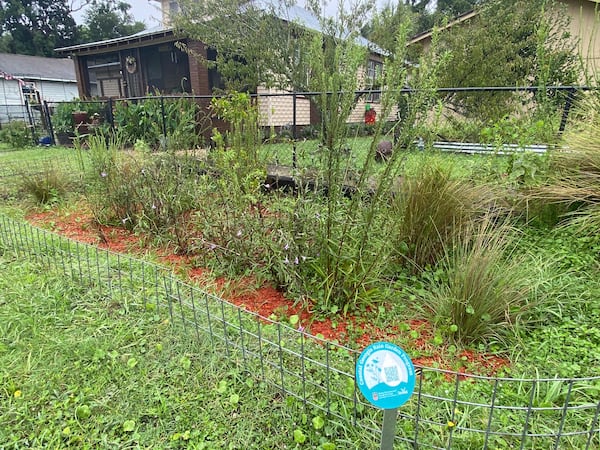 A "rain garden" outside Semona Holmes' home in Brunswick, Georgia helped absorb rain from Debby this week.