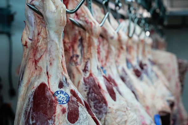 Beef hangs in the meat locker of J.T. Jobbagy Inc. in the Meatpacking District of Manhattan, Tuesday, Nov. 19, 2024, in New York. (AP Photo/Julia Demaree Nikhinson)