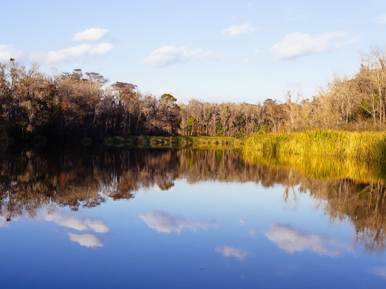 Wildlife corridor