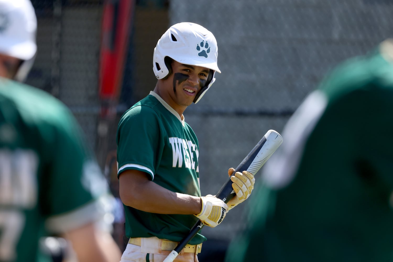 GHSA Baseball Playoffs