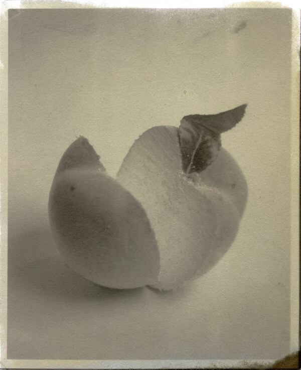 Photographer Matthew Brandt’s “Peaches” appears in “Matthew Brandt: 1864” at Buckhead’s Jackson Fine Art.