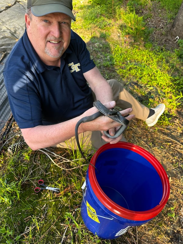 Mark Robison, aka Atlanta Snake Guy, helps identify and relocate snakes found in backyards. Here, he is holding a black racer snake, which is not venomous. Snakes and people can live compatibly with each other, he says, but people should try to understand the reptiles’ habitats and needs. (Contributed)