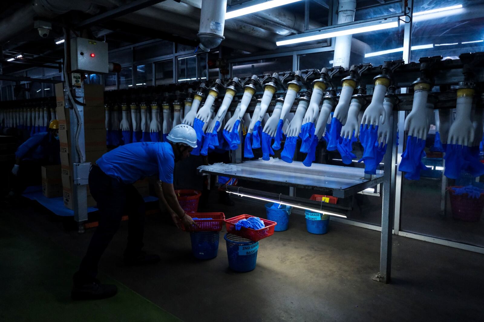 An employee monitors latex gloves on hand-shaped molds moving along an automated production line at a Top Glove Corp. factory in Setia Alam, Malaysia, in this undated photo. (Samsul Said / Bloomberg)