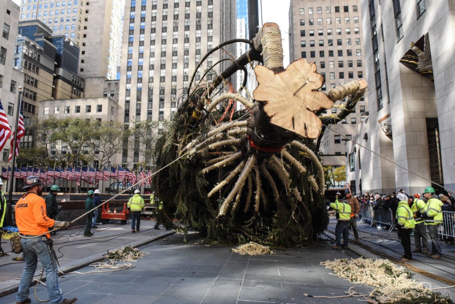 rockefeller center plaza christmas tree