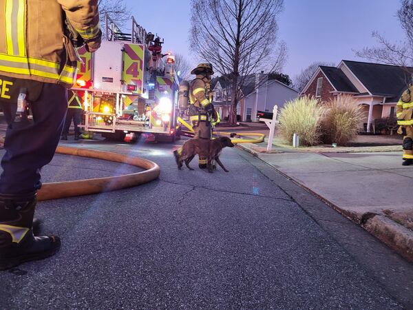 Two dogs were rescued from a burning home in Gwinnett County on Sunday morning.