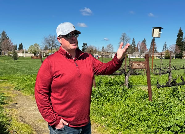 Craig Ledbetter of Vino Farms stands in a demonstration vineyard outside the Lodi Wine Visitor Center in Lodi, Calif., March 18, 2025. (AP Photo/Terry Chea)