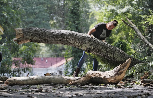 Christie Bryant, arborist and president of the Georgia Arborist Association Inc., inspects a fallen tree in Grant Park. She found lots of shelf fungus, which indicates the tree was dead and had rotted. BOB ANDRES / BANDRES@AJC.COM