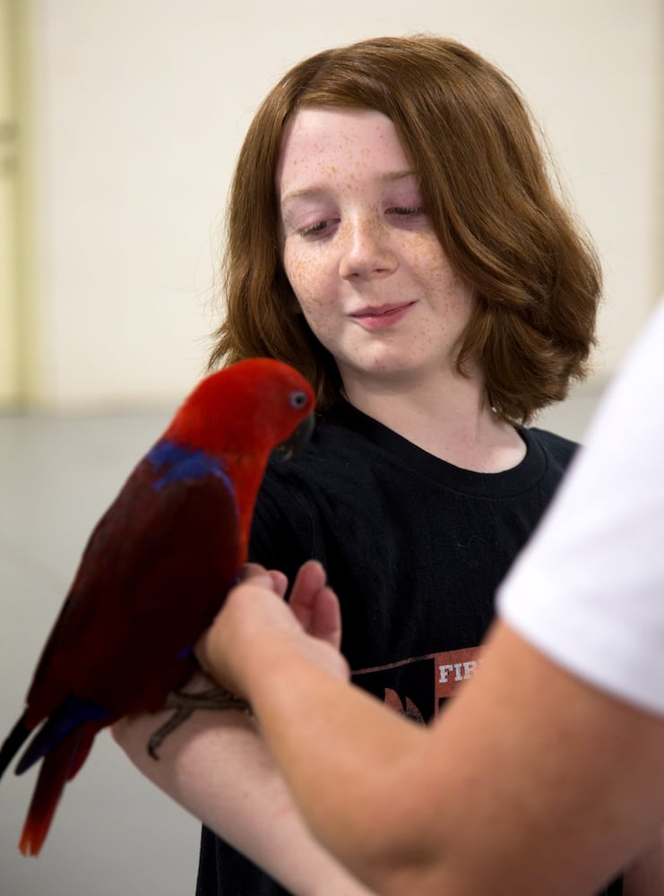 Southeast Exotic Bird Fair