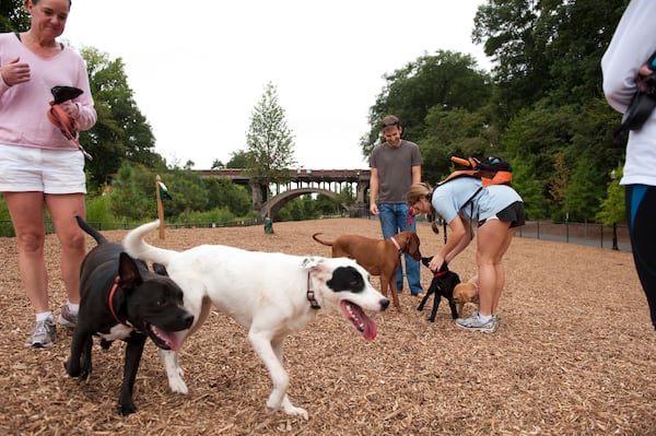 Located in Midtown, Piedmont Park is just one of many off-leash dog parks found throughout the Atlanta metro area.