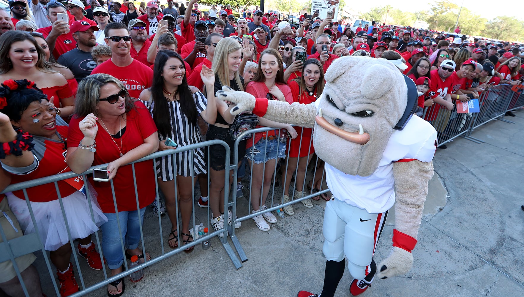 Photos: The scene at the Georgia-Florida game