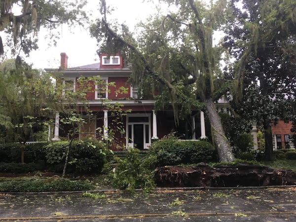 The tree came up by its roots. Photo: Jennifer Brett, jbrett@ajc.com