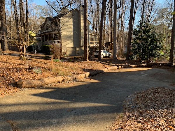 Sean Crews and Gail Gustavson, a couple in Cobb County, tried to change their suburban lot into a wildlife habitat. Someone complained and they had to remove several logs from the property, including these.