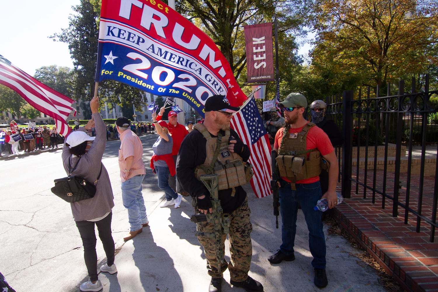 Demonstrate against the election being stolen from President Trump