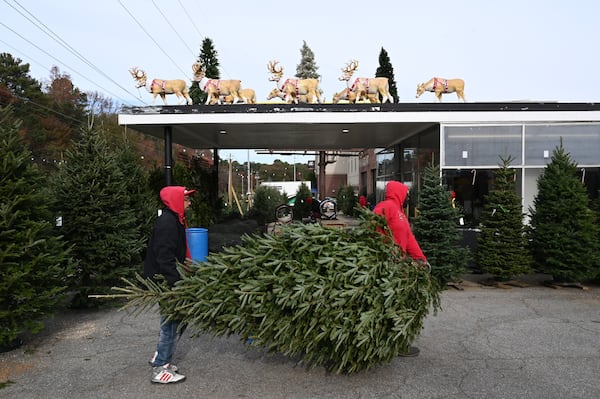 Crew members prepare and pack for online orders at Tradition Trees.