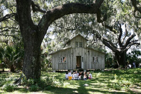 Students from Oglethorpe Charter School in Savannah draw inspiration from their setting beneath a giant mossy oak at the site of the Ossabaw Island Project on Thursday, Oct. 12, 2006. CURTIS COMPTON / THE ATLANTA JOURNAL-CONSTITUTION