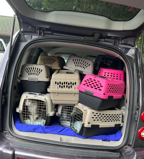 Over 30 cats and dogs were evacuated from Chattooga County Animal Control because of concerns about flooding, said Animal Advocates of Chattooga County.