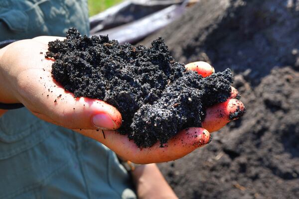 Ilana Richards shows some "black gold" from a massive pile of mulch on the property of Levity Farms in Madison. The pile is the size of a semi-truck trailer and is essential in their no-till and low-till farming. This young family farms 1 acre of their 10 acres of land. (Chris Hunt for The Atlanta Journal-Constitution)