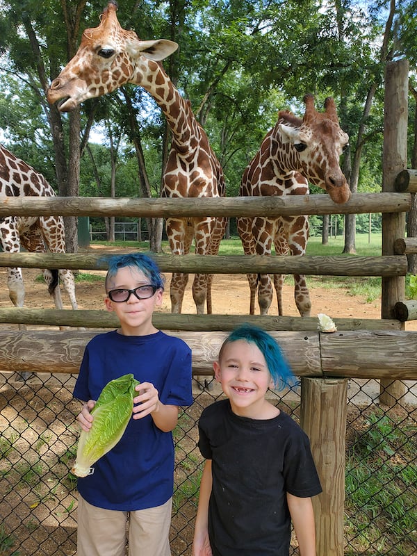 Although  the Altmans stayed in their car through most of the Alabama Safari Park, there were opportunities to get out and interact with the animals. Gauge (left) and Blaze fed the giraffes. Photo courtesy Ashley Altman