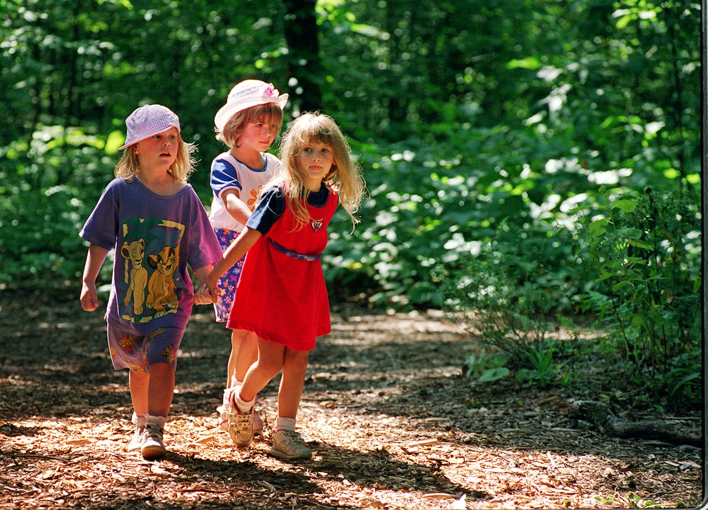 William H. Reynolds Nature Preserve