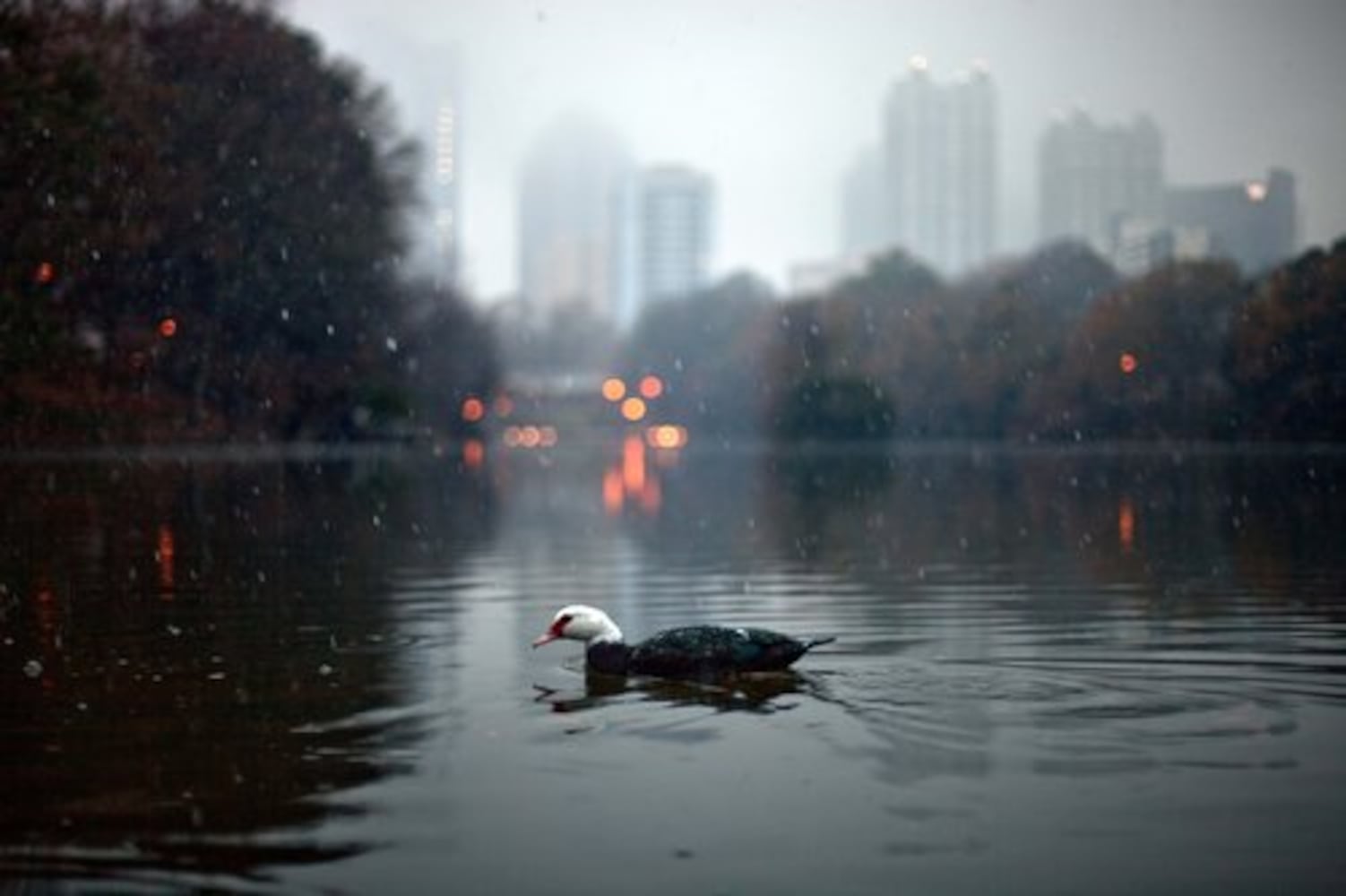 Atlanta weather | Christmas snow