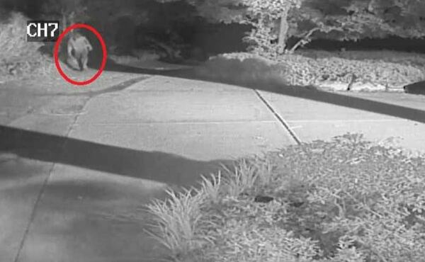 Surveillance video from Thomasson’s home could show the suspect. The video was released by Sandy Springs police on Monday. A red circle has been added to make it easier for readers to identify the suspect.