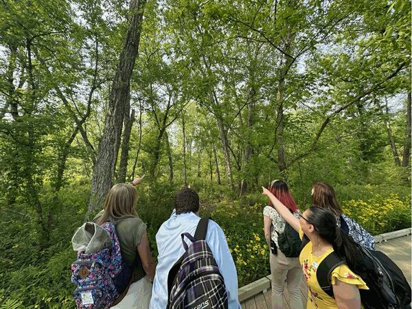 A group has a wildlife sighting while walking the 2.5 miles of trails, including the ADA- compliant River Boardwalk Trail, at Chattahoochee Nature Center. 
(Courtesy of Chattahoochee Nature Center)