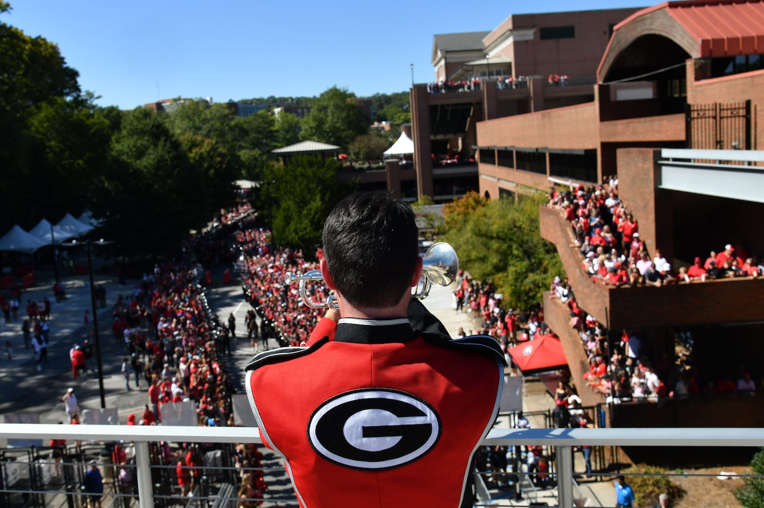 Georgia vs Mississippi State photo