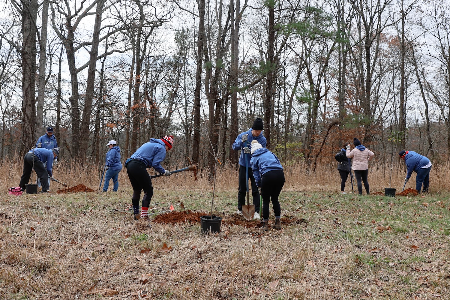 Travis D’Arnaud Plants Trees