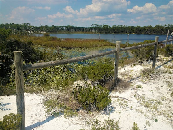 Morris Lake Trail in Topsail Hill Preserve State Park in South Walton, Florida.
Contributed by Blake Guthrie