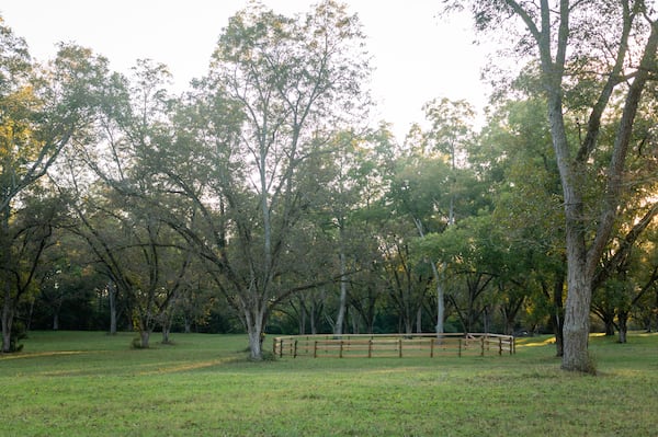 The Liberty ring at Quercus, where horse riders bond with their mounts, is located in a picturesque pecan grove. (Credit: Henri Hollis / henri.hollis@ajc.com)