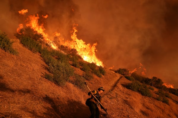 A firefighter battles the Palisades Fire in Mandeville Canyon Saturday, Jan. 11, 2025, in Los Angeles. (AP Photo/Jae C. Hong)