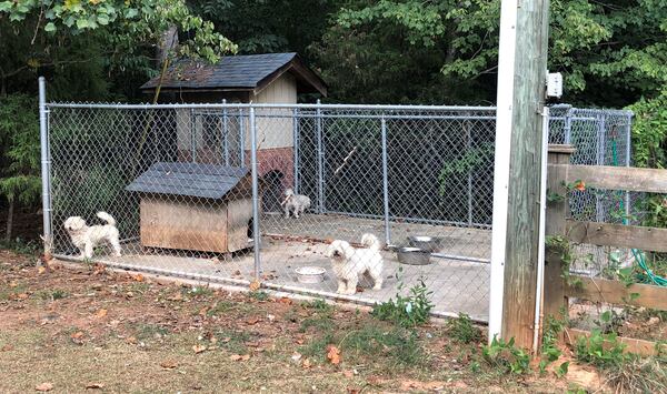 The puppy mill was discovered on Unionville Road.