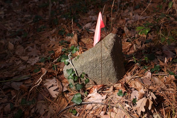 A gravestone tangled in vegetation at the historic Piney Grove Cemetery in Buckhead. (Jason Getz / Jason.Getz@ajc.com)