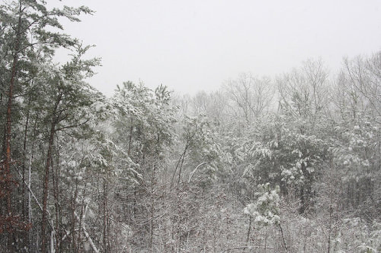 Atlanta weather | Christmas snow