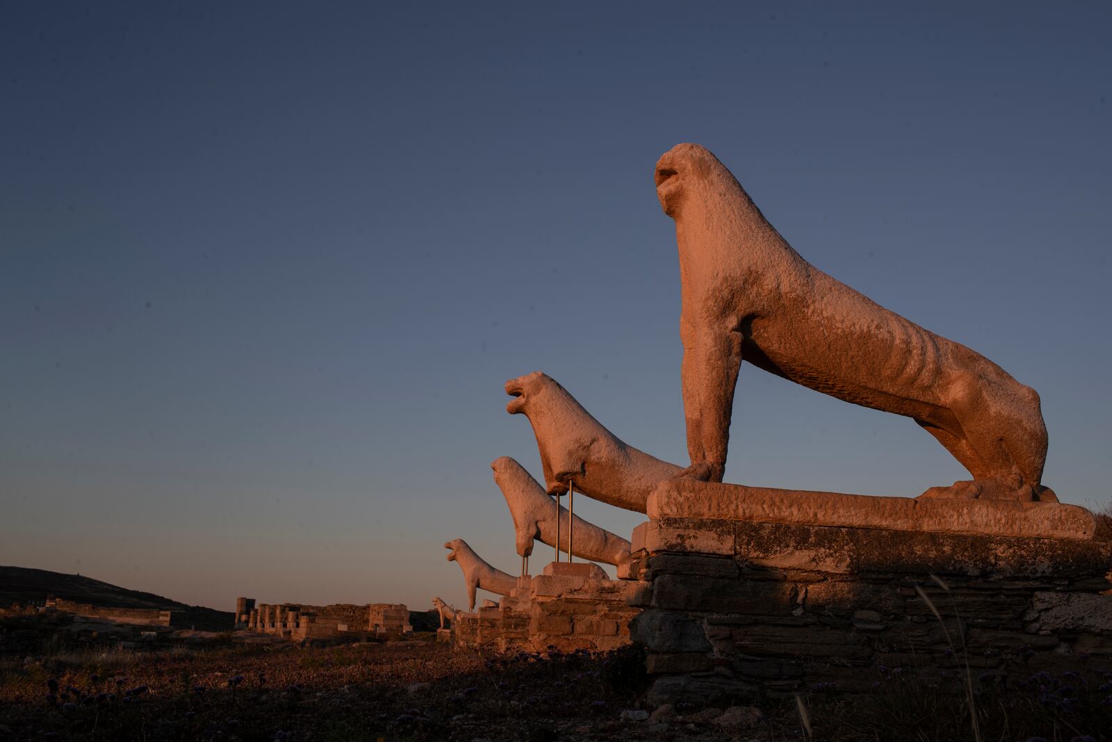 The guardian Lions dedicated by the Naxians to the Sanctuary of ancient Greek God Apollo on 7th century BC, are lighted with the first morning light, in the ancient island of Delos, Greece , on Wednesday, May 12, 2021. Greece says its tourism services will open on May 15 when a ban on travel between different regions of the country will also be lifted. ( AP Photo/Petros Giannakouris)