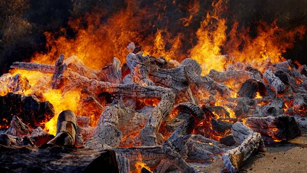 A fire burns on November 10, 2018 in Malibu, California. The Woolsey fire has burned over 70,000 acres and has reached the Pacific Coast at Malibu as it continues grow.