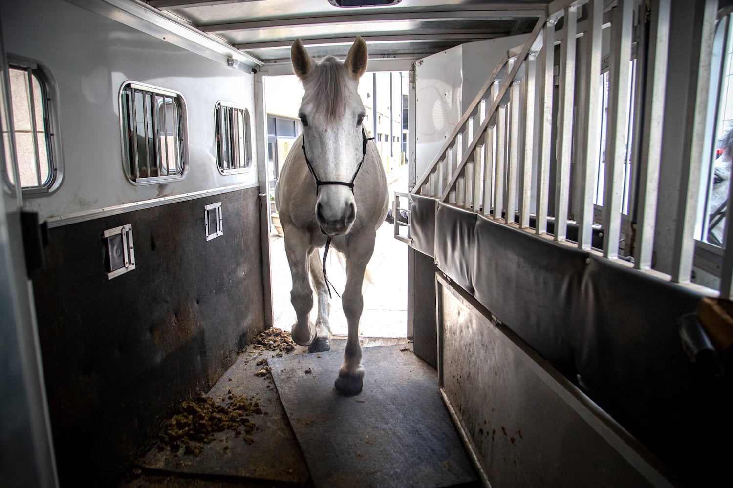 Atlanta Police, Mounted Patrol