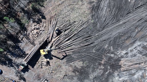 In this aerial image, loggers are seen removing trees on land co-owned by Jake and Lana Hilderbrand in Jeff Davis County on Tuesday, March 18, 2025. (Miguel Martinez/AJC)