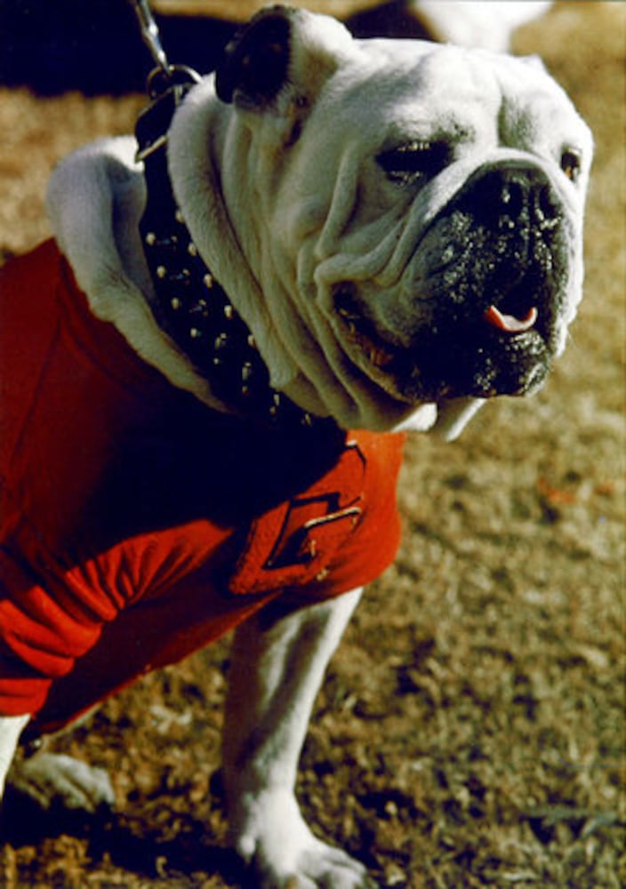 Georgia's Uga mascots