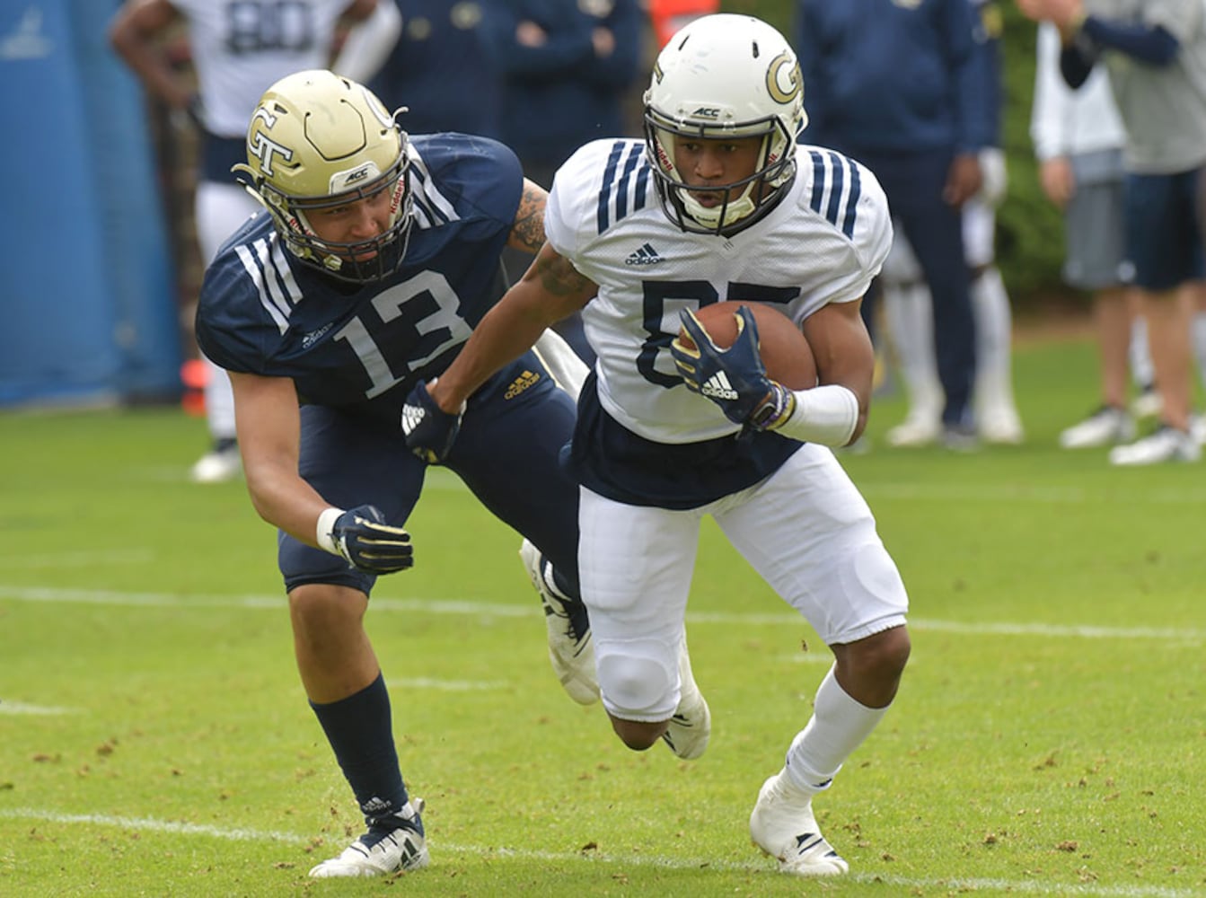 Georgia Tech Yellow Jackets