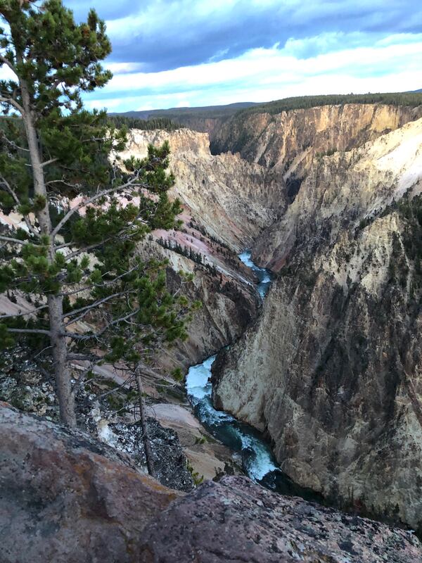 Renee VanderBoom of Peachtree Corners and her celebrated their 50th wedding anniversary in the summer of 20219 by driving over 7,000 miles through the U.S.A and Canada visiting many states as well as several national parks. "One of our highlights was revisiting one of our favorite national parks, Yellowstone. It was just as magnificent this time as when we visited it in  1989," she wrote.

Thank you,