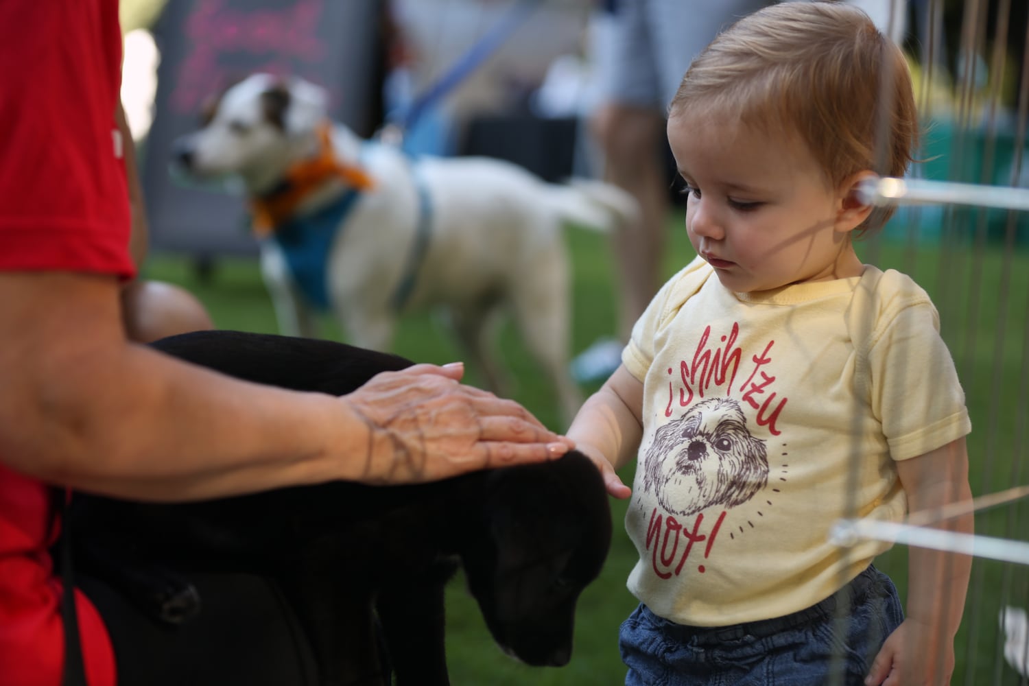 PHOTOS: Doggy Con 2019