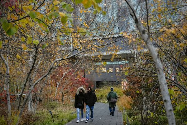 People walk on the High Line in the Meatpacking District of Manhattan, Friday, Nov. 22, 2024, in New York. (AP Photo/Julia Demaree Nikhinson)