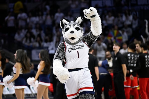 Jonathan the Husky, the mascot of UConn ,performs in the second half of an NCAA college basketball game, Friday, Feb. 7, 2025, in Storrs, Conn. (AP Photo/Jessica Hill)